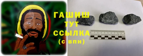 ГАЛЛЮЦИНОГЕННЫЕ ГРИБЫ Тайга