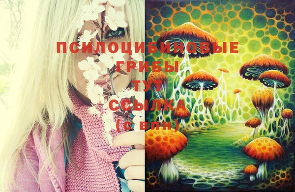 каннабис Балахна